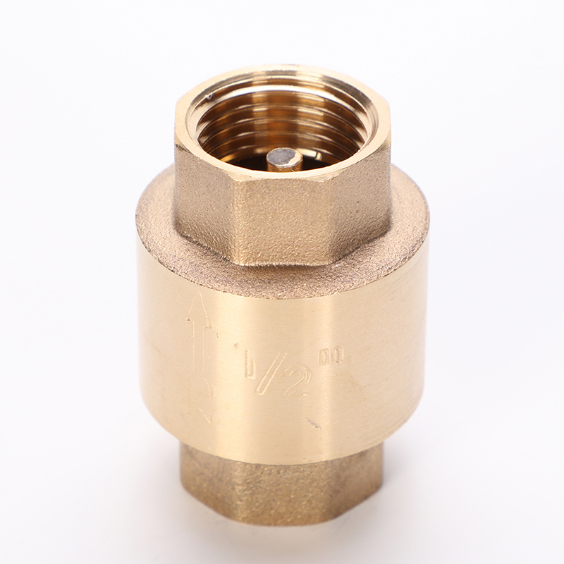 Brass Check Valve